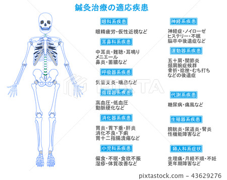 針灸治療的疾病適應症骷髏1(藍色,描述) 針灸治療的疾病適應症骷髏1(藍色,描述) 43629276