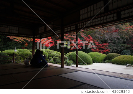 Shishido Jozanji花園 Shishido Jozanji花園 43629343