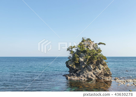 Uchiumifu海岸 43630278