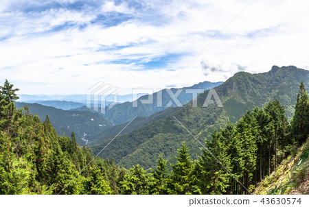 從三鷹神社Harukaden的看法 從三鷹神社Harukaden的看法 43630574