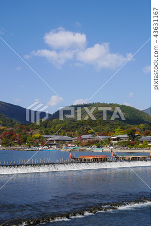 京都 京都 43631167