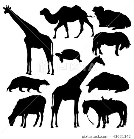 Vector set of animal silhouettes. Vector set of animal silhouettes. 43631342