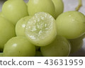 Shine Muscat 43631959