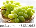 Shine Muscat 43631962