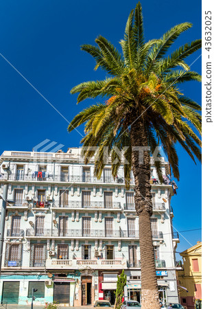 Palm tree and a French colonial building in Oran, Algeria Palm tree and a French colonial building in Oran, Algeria 43632025