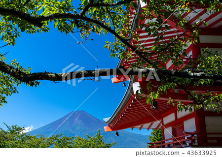 (Yamanashi Prefecture) Nii Kurayama Asama Park, Tadaiki Pagoda and Mt. Fuji (Yamanashi Prefecture) Nii Kurayama Asama Park, Tadaiki Pagoda and Mt. Fuji 43633925