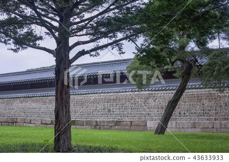 圍欄，停電，Jongmyo，Jongno-gu，首爾 43633933