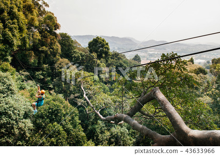 Man on zip line over tropical forest, Thailand 43633966