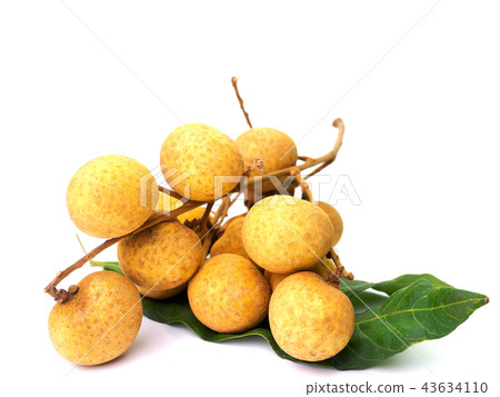 Fresh longan fruits isolated on white background. 43634110