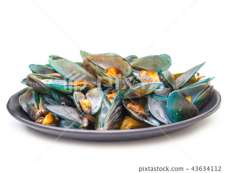 Steamed mussels on white background. Steamed mussels on white background. 43634112