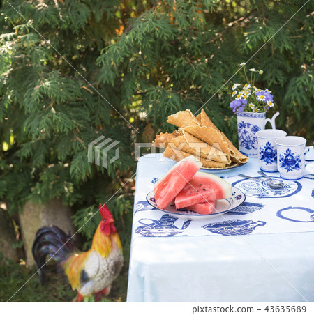 breakfast in the garden, watermelon and waffles 43635689