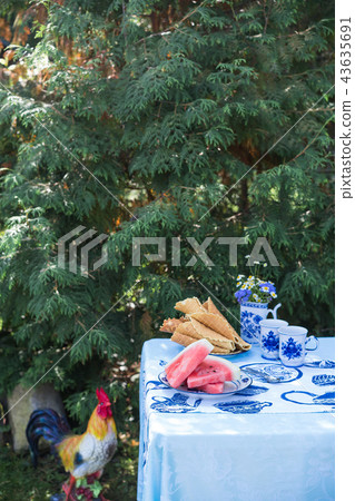 breakfast in the garden, watermelon and waffles 43635691