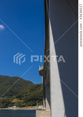 Suozu Oshima Suozu Oshima 43636017