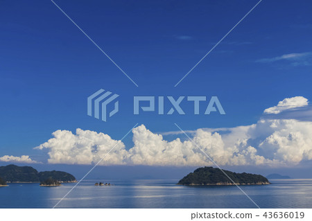Suozu Oshima Suozu Oshima 43636019