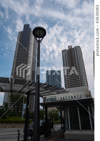 High-rise apartment near Musashikosugi Station 43636065