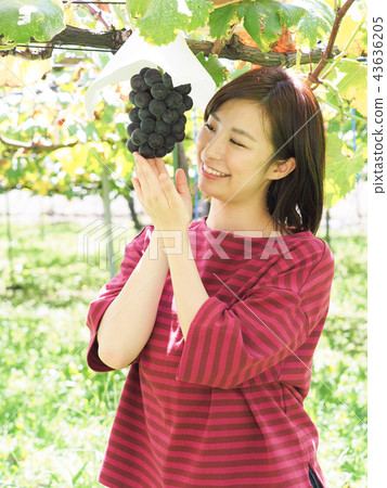 A woman with a hand on a grape vine grape 43636205