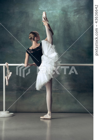 The classic ballerina posing at ballet barre The classic ballerina posing at ballet barre 43636642