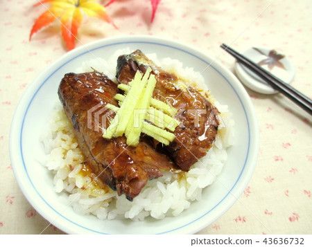 Grilled salmon with rice 43636732