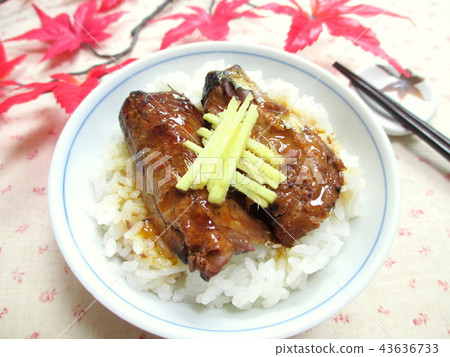 Grilled salmon with rice 43636733