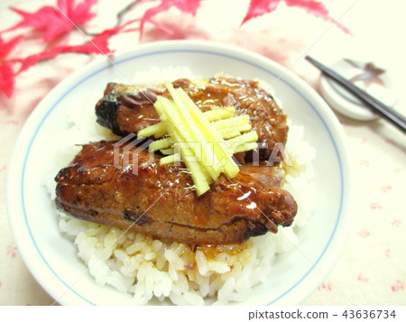 Grilled salmon with rice 43636734