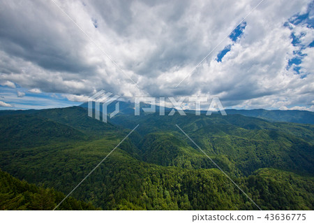 Mt. Otaki forest and mountain and clouds 2 43636775