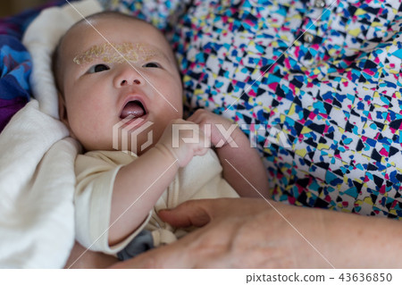 新生兒和爺爺孫子和奶奶 新生兒和爺爺孫子和奶奶 43636850