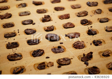 Cacao Cacao 43636920