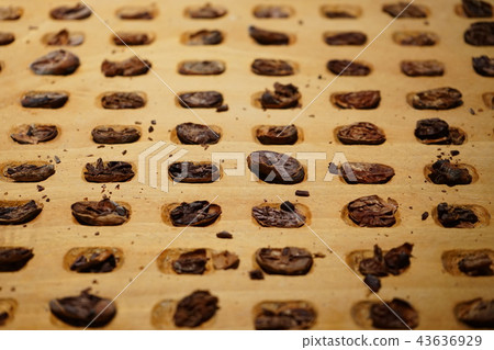 可可 可可 43636929