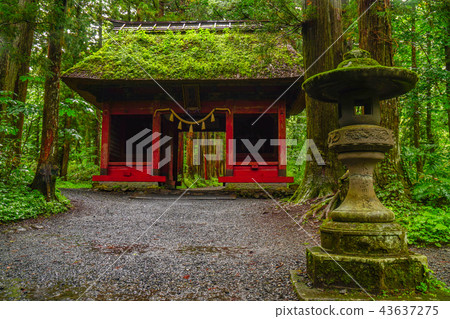  Togakushi Shrine Okusha 43637275
