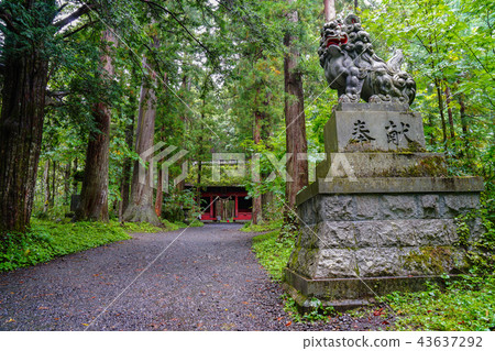 Togakushi Shrine Okusha Togakushi Shrine Okusha 43637292