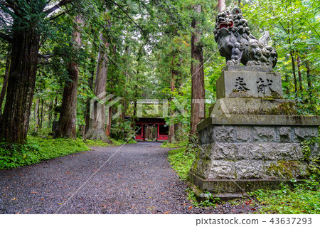 Togakushi Shrine Okusha Togakushi Shrine Okusha 43637293