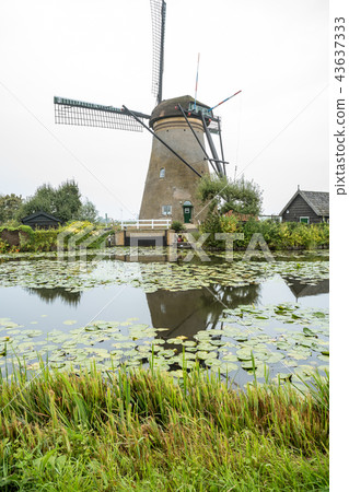 Kinderdijk in holland Kinderdijk in holland 43637333
