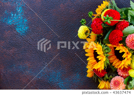 Dahlia and sunflowers 43637474