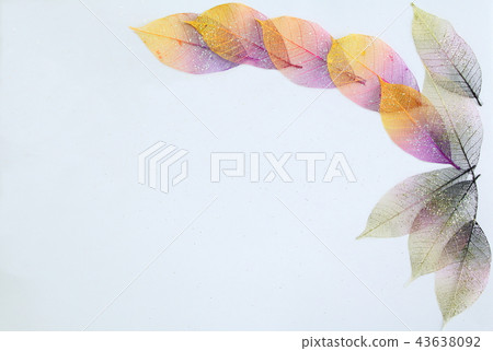 木葉 - 秋天到冬天發光（質地） 43638092