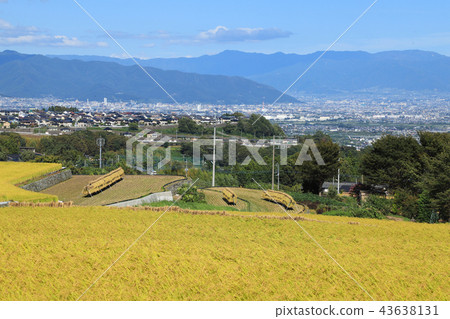 Nakano no Tanada Rice field Yamanashi Nakano no Tanada Rice field Yamanashi 43638131
