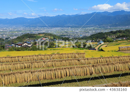 Nakano no Tanada Rice field Yamanashi Nakano no Tanada Rice field Yamanashi 43638160
