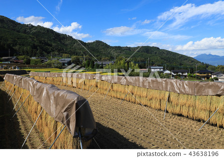 Nakano no Tanada Rice field Yamanashi Nakano no Tanada Rice field Yamanashi 43638196
