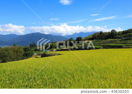 Nakano no Tanada Rice field Yamanashi Nakano no Tanada Rice field Yamanashi 43638203