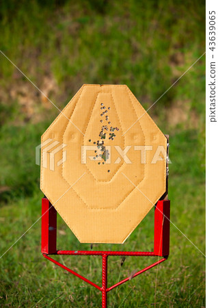 Target shooting IPSC competition pistol games. 43639065