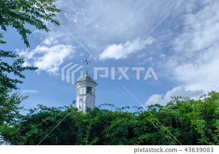 Nakagomi學校 43639083