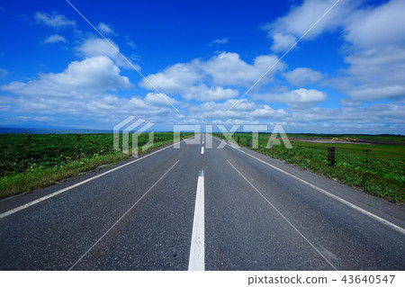 夏天天空Ororon線2 43640547