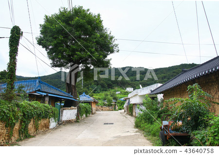 Rural rural townscape 43640758