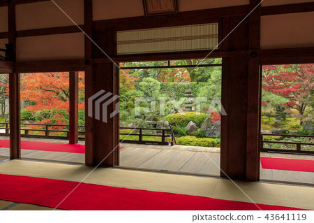 Shoden Nagamotonin Fall leaves Shoden Nagamotonin Fall leaves 43641119