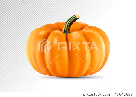 Realistic vector pumpkin isolated on transparency grid background. 3d illustration Realistic vector pumpkin isolated on transparency grid background. 3d illustration 43642658