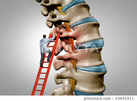Spine Therapy 43642911