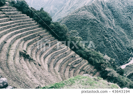 Ancient Inca stone farming terraces. Inca Trail. 43643194