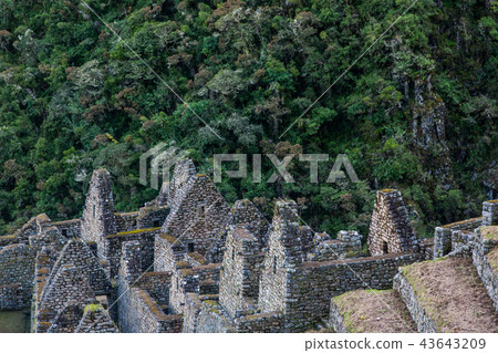 Inca town ruins and the jungle. Inca town ruins and the jungle. 43643209