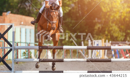 Show jumping event background with copy space 43644215