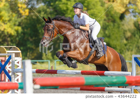 Young horse rider girl on show jumping competition Young horse rider girl on show jumping competition 43644222