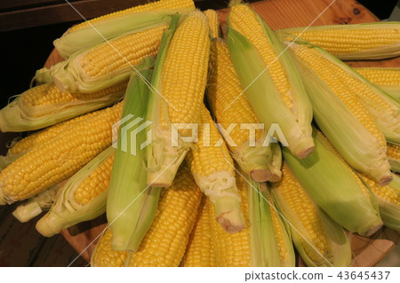Corn 43645437